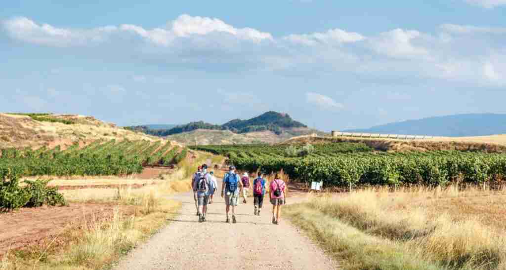 Camino walks and pilgrimage tours  