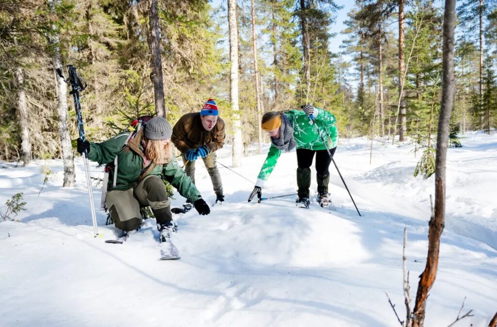 Winter Activities in Finland  The Natural Adventure 13