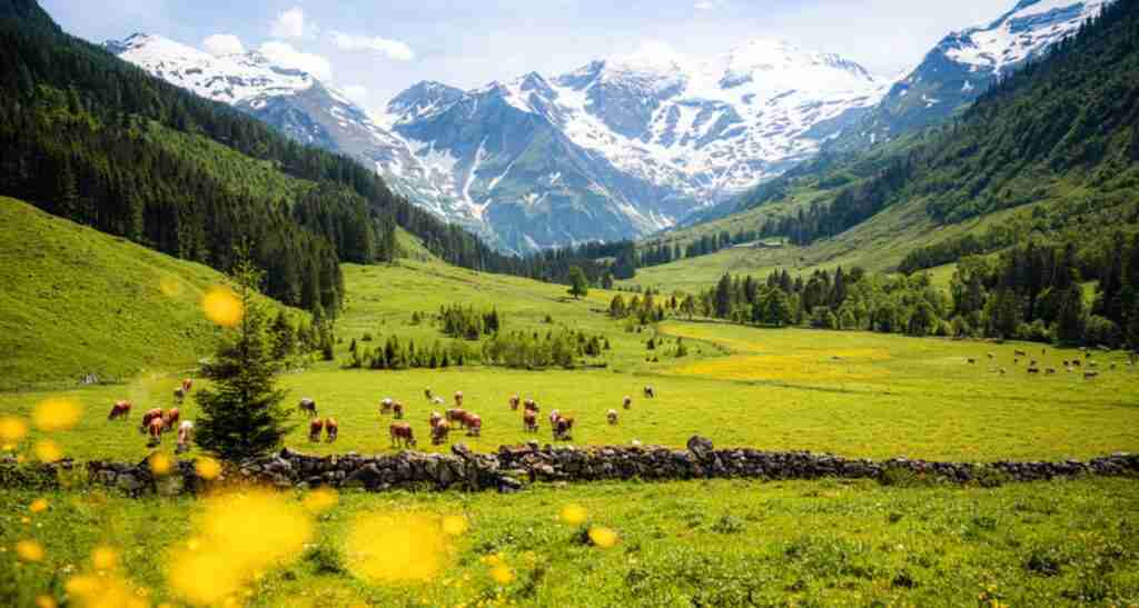 Our six best hikes in Austria