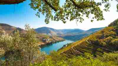Porto and Douro Valley Wine Region. Portugal tours