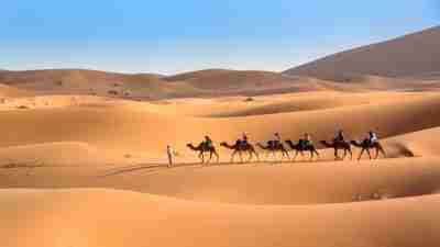 Mount Toubkal and Sahara Desert Trek. Morocco tours