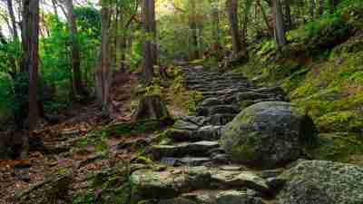 Kumano Kodo Trail. Japan tours