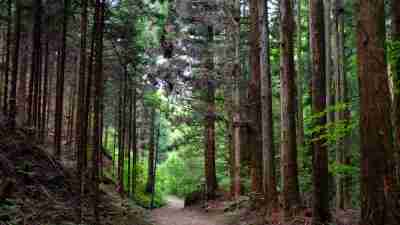 Japan tours. Self-guided walking tours Japan The Natural Adventure